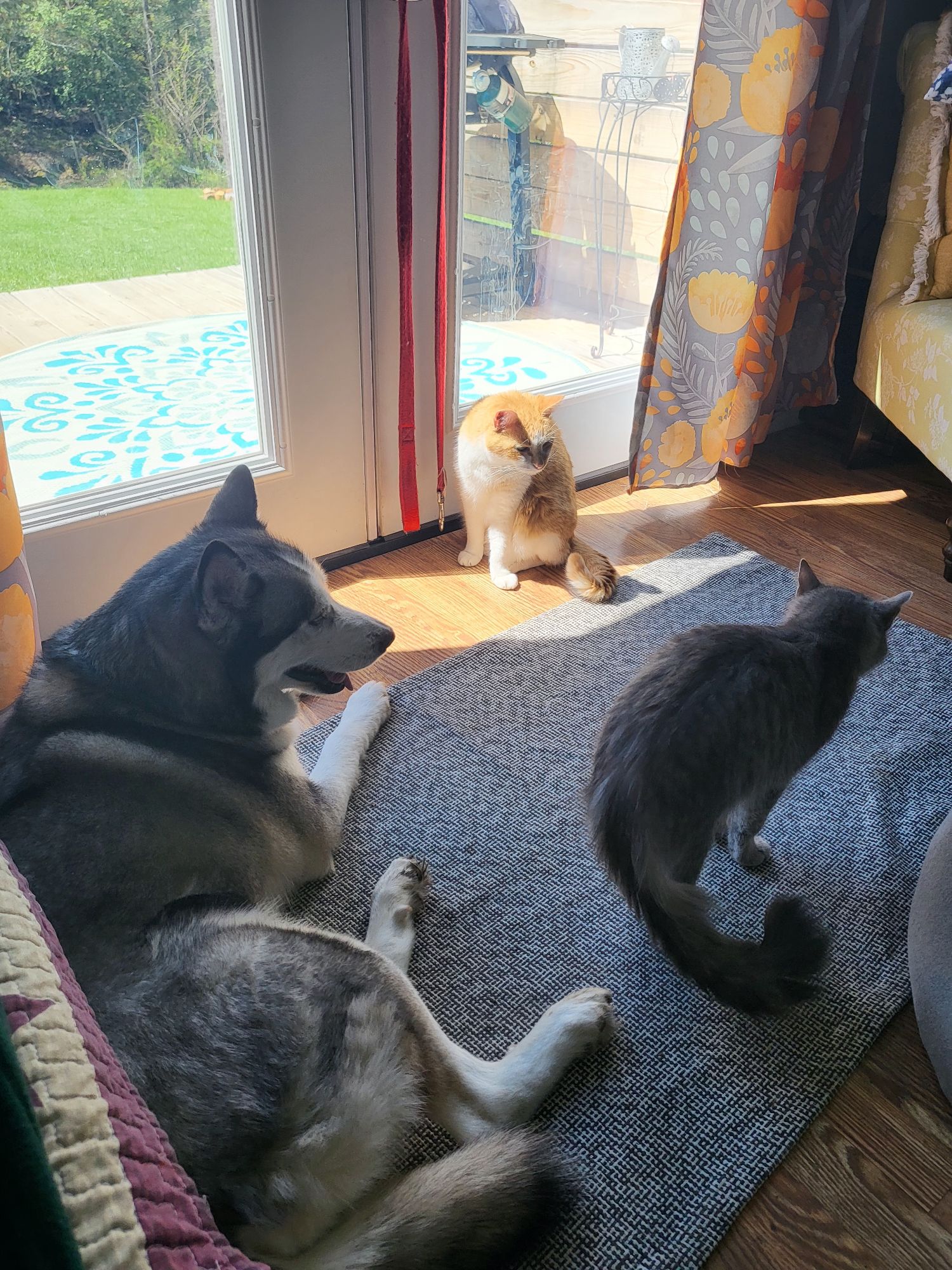 Does Experience Mean Nothing or Something?